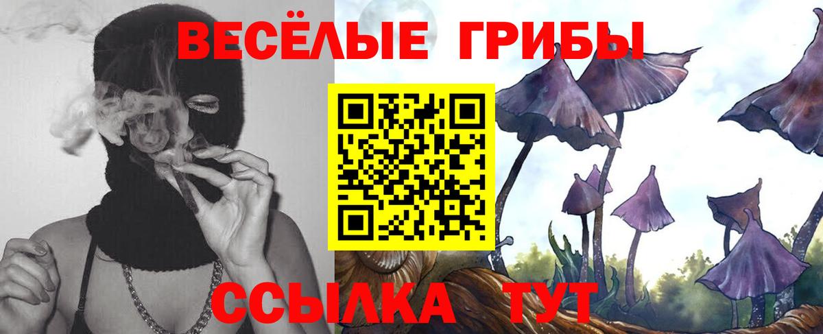 Псилоцибиновые грибы прущие грибы Зеленогорск