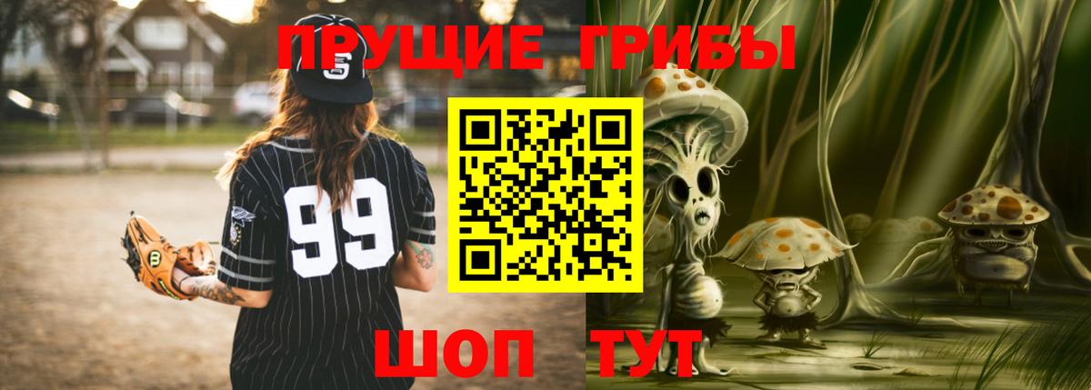 Зеленогорск  Псилоцибиновые грибы GOLDEN TEACHER  Вход с VPN 